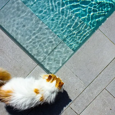 Casa Dubi. Kvarner Selce